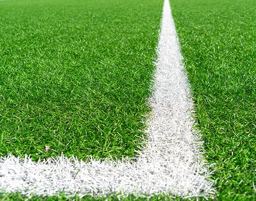 CFCO - Carbon Farming Company, Fertilizzanti, Sabbie e Terricci. Gronoamic Sport High CFCO - Carbon Farming Company, Fertilizzanti, Sabbie e Terricci. Gronoamic Sport High